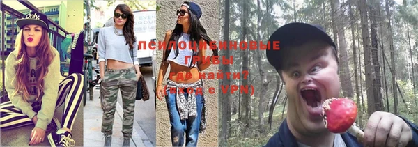 кокаин Вяземский