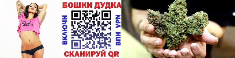 продажа наркотиков  Дятьково  Марихуана сатива 